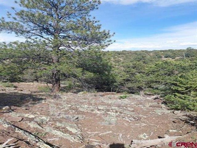 Land for sale in South Fork, Colorado