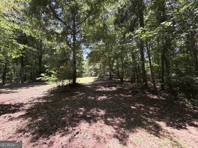 Land for sale in Colbert, Georgia