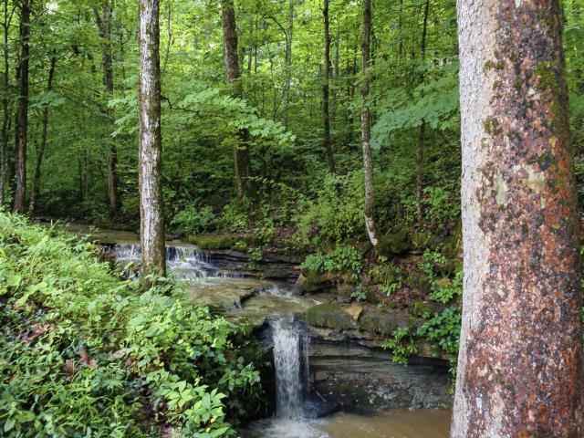 House for sale in Kentucky