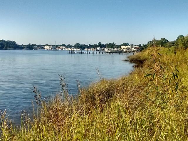 Land for sale in Georgetown, South Carolina