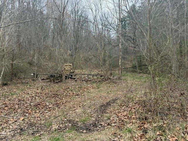 Land for sale in Flatgap, Kentucky