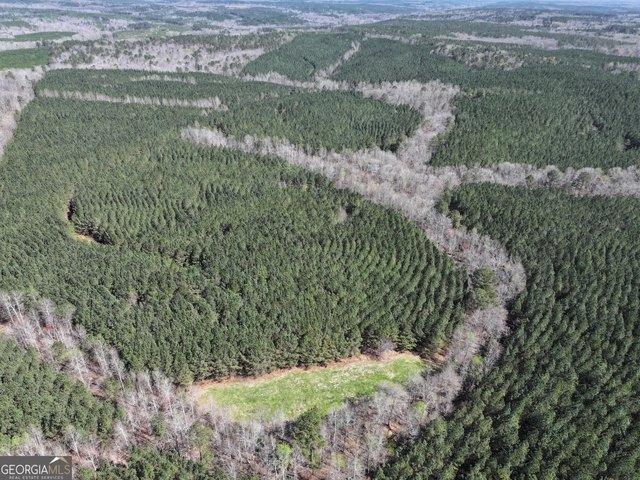 Land for sale in Franklin, Georgia