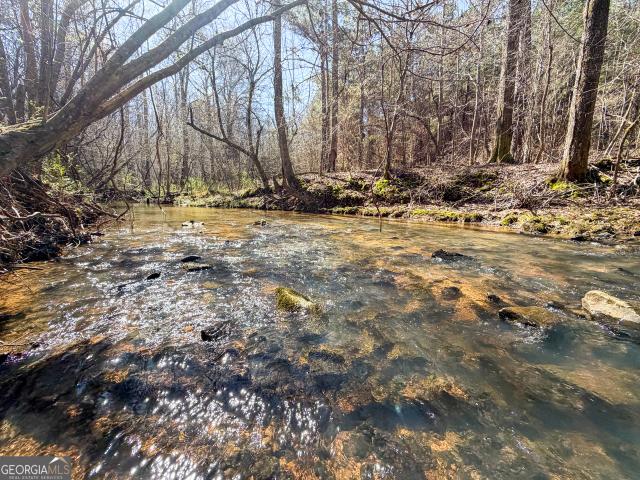 Land for sale in Franklin, Georgia