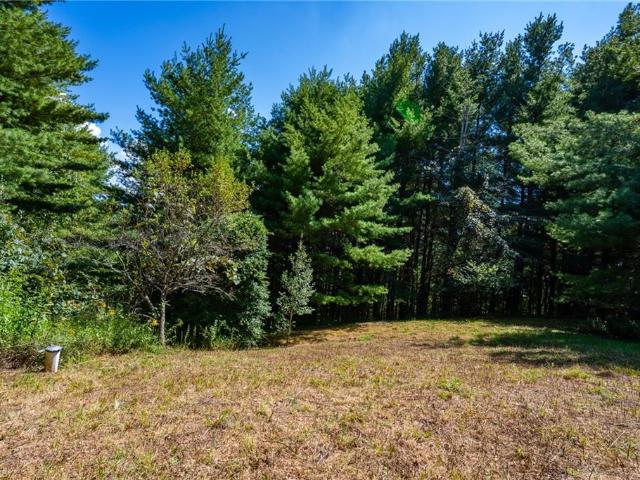 Land for sale in Alleghany, North Carolina