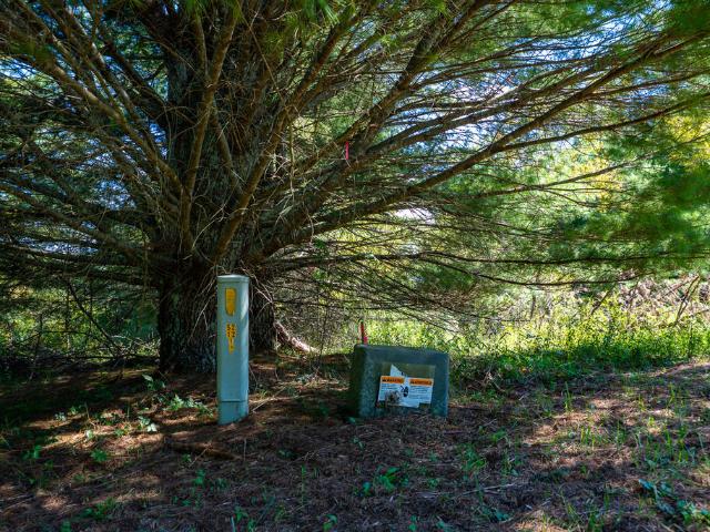 Land for sale in Alleghany, North Carolina