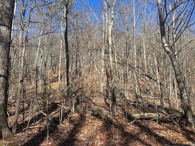Land for sale in Gilmer, Georgia