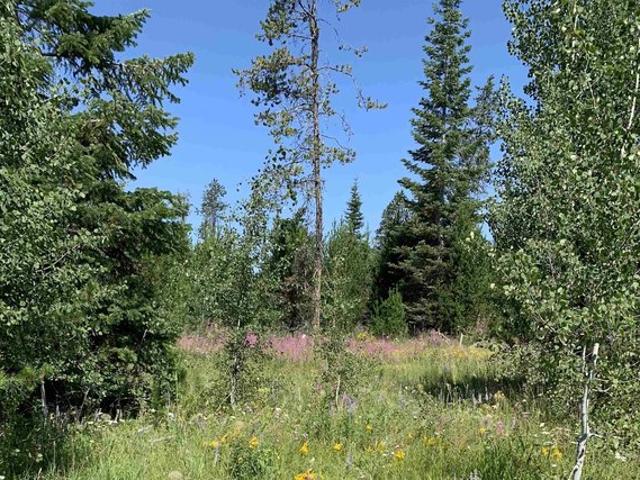 Land for sale in Donnelly, Idaho