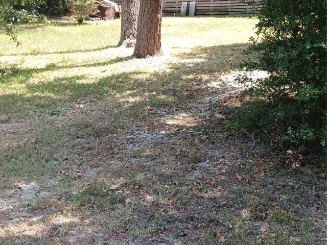 House for sale in Polk, Texas