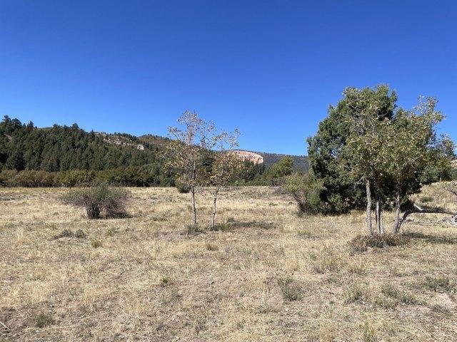 Land for sale in Duck Creek Village, Utah
