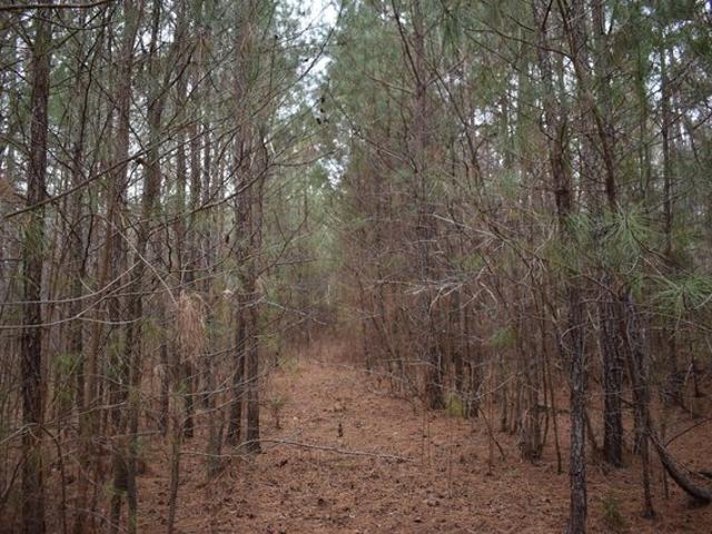 Land for sale in Chatham, North Carolina