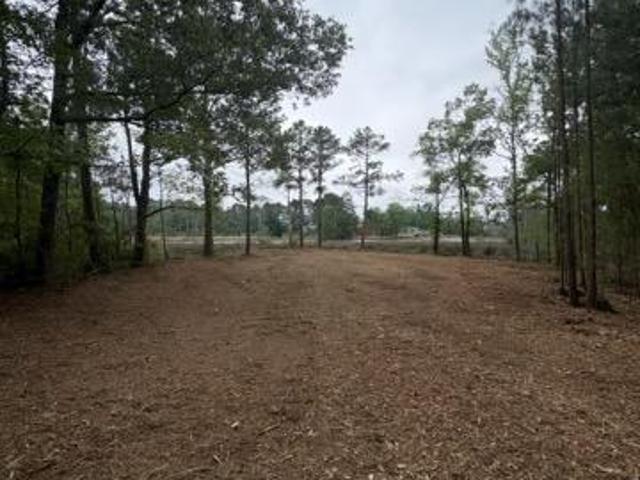 Land for sale in Belhaven, North Carolina