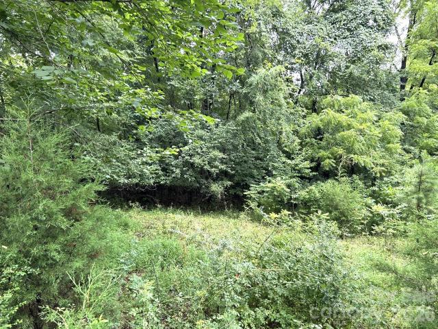 Land for sale in Mount Pleasant, North Carolina
