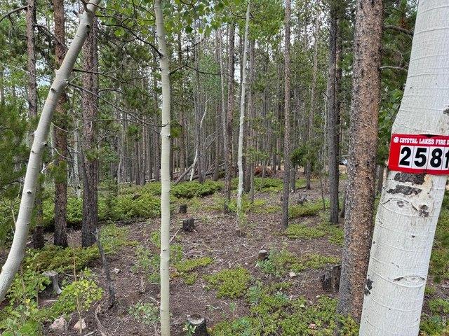 Land for sale in Red Feather Lakes, Colorado