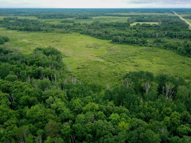 Land for sale in Wadena, Minnesota