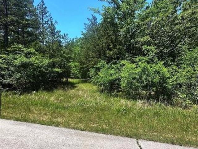 Farm for sale in Williamsville, Missouri