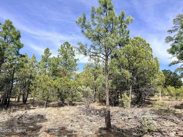 Land for sale in Happy Jack, Arizona