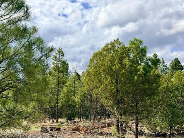 Property for sale in Happy Jack, Arizona
