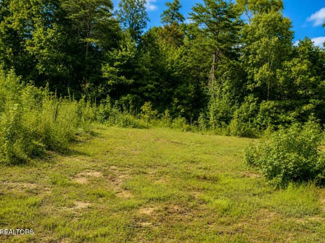 Land for sale in Tennessee