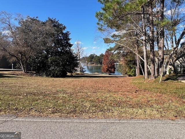 Land for sale in Box Springs, Georgia