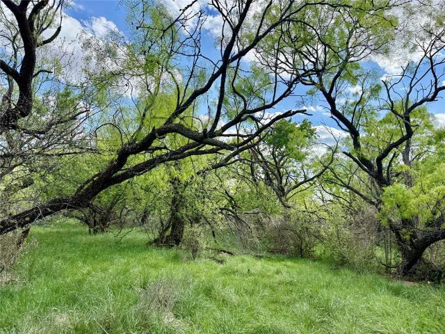 Land for sale in Taylor, Texas