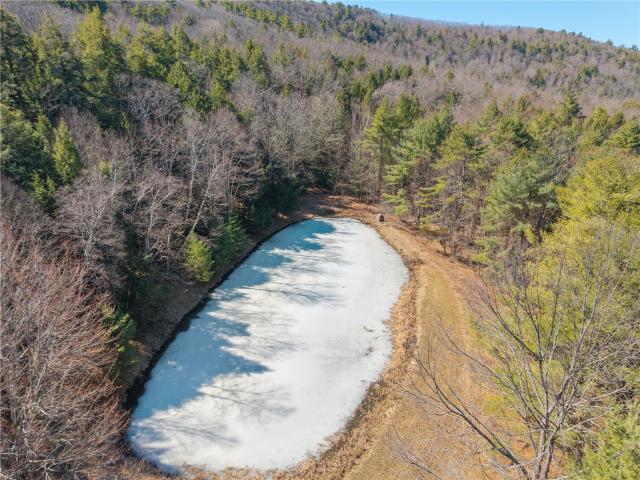 Land for sale in Town of Schoharie, Schoharie County