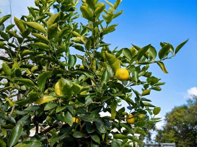 Property for sale in Bay Of Plenty