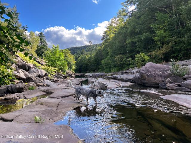 Property for rent in Arkville, New York
