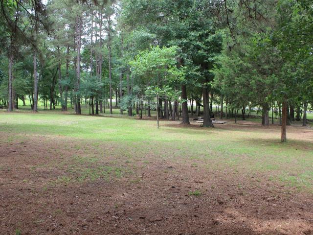 Land for sale in Leon, Texas