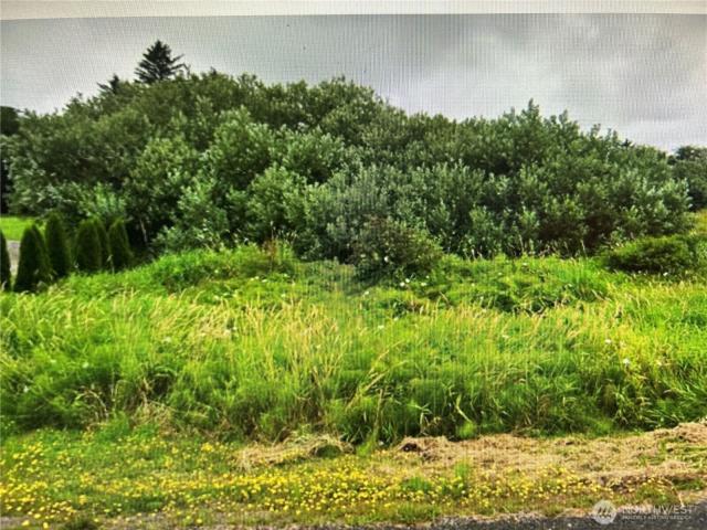 Land for sale in Ilwaco, Washington