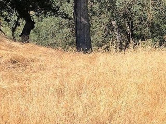 Land for sale in Tehachapi, California
