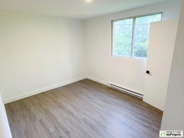 Apartment for rent in Hochelaga-Maisonneuve, Montréal
