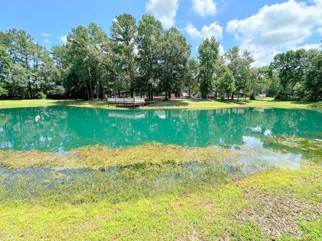 Land for sale in Magnolia, Texas