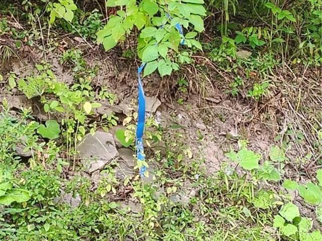 Land for sale in Laurens, New York