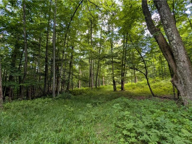 Land for sale in Laurens, New York