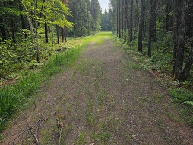 Land for sale in Webster, Burnett County