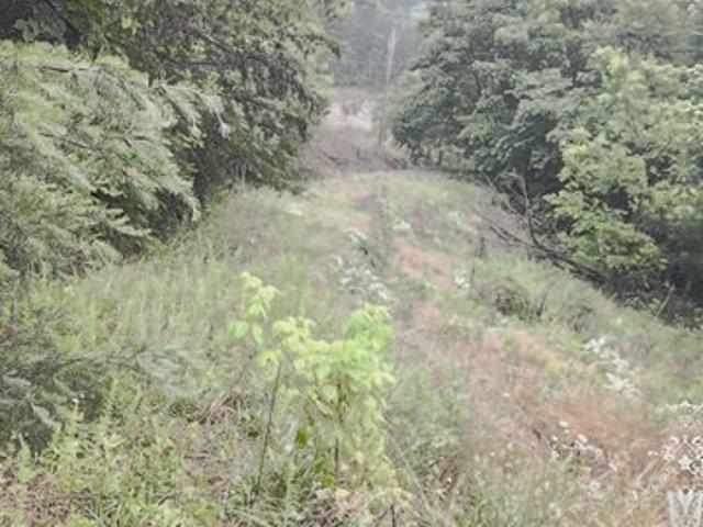 Land for sale in Tennessee
