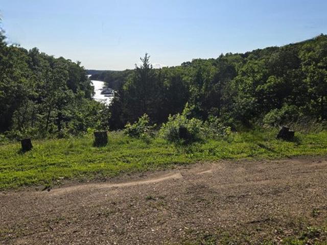 Land for sale in Hickory, Missouri