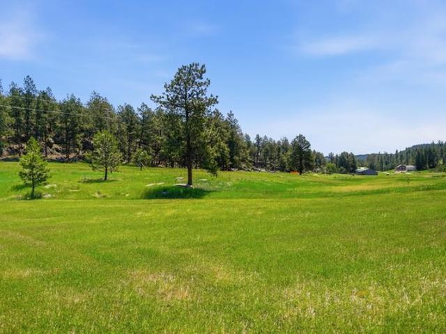 Land for sale in Custer, South Dakota