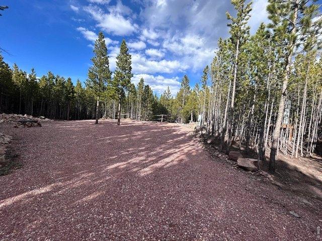 Land for sale in Red Feather Lakes, Colorado
