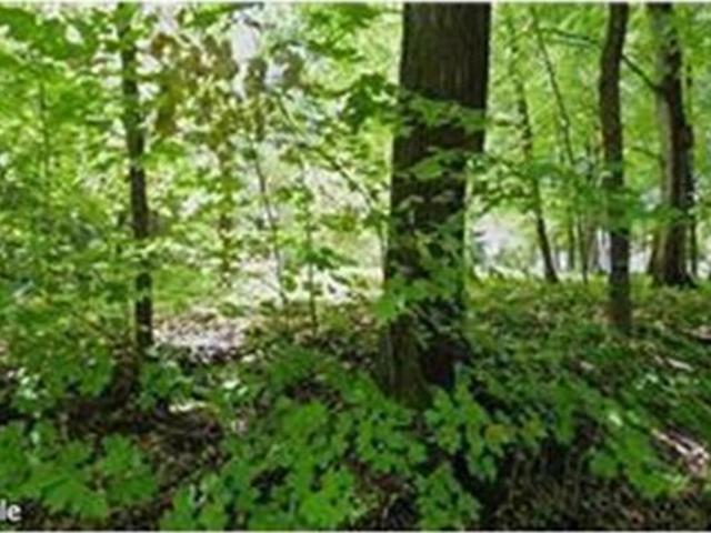 Land for sale in Hennepin, Minnesota