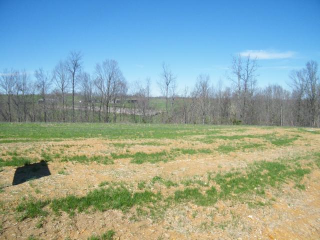 Land for sale in Tennessee