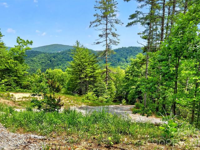 Land for sale in Hendersonville, North Carolina