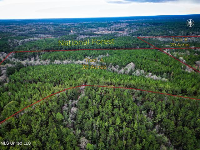 Land for sale in Beaumont, Mississippi