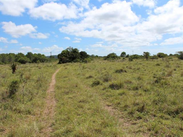 Farm for sale in Bushmans River Mouth, Eastern Cape