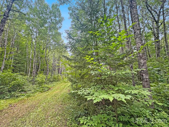 Land for sale in Michigan
