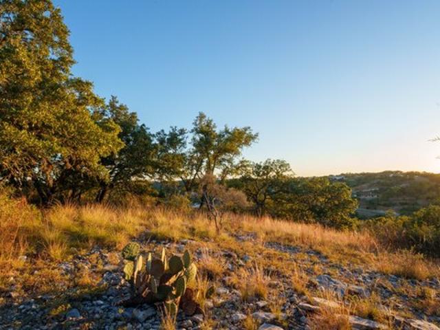 Land for sale in Comfort, Kendall County