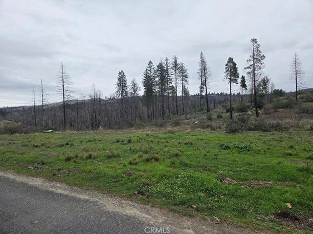 Land for sale in Butte, California