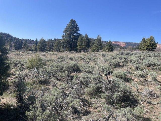 Land for sale in Duck Creek Village, Utah