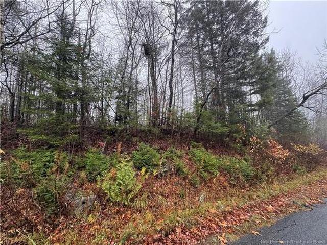 Land for sale in Charlotte, New Brunswick