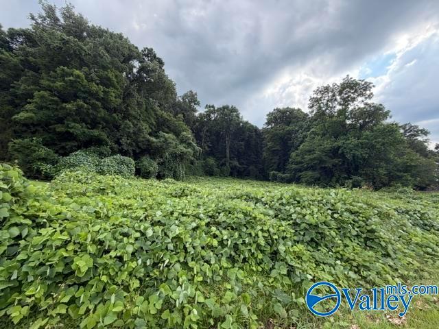 Land for sale in Guntersville, Alabama